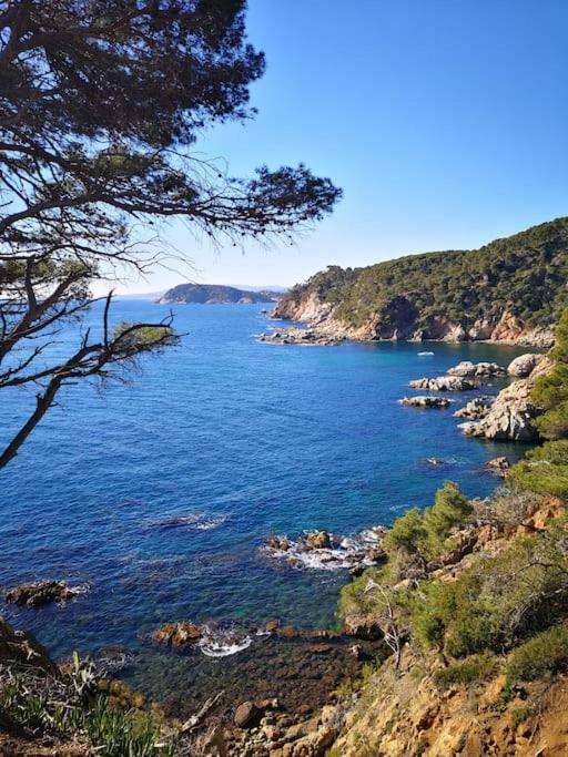 Apartamento Con Piscina L' Ancora Calella De Palafrugell Exteriér fotografie