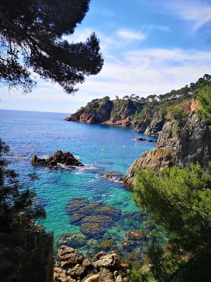 Apartamento Con Piscina L' Ancora Calella De Palafrugell Exteriér fotografie